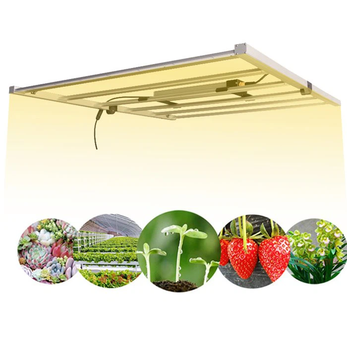 720W Marijuana LED Grow Lights