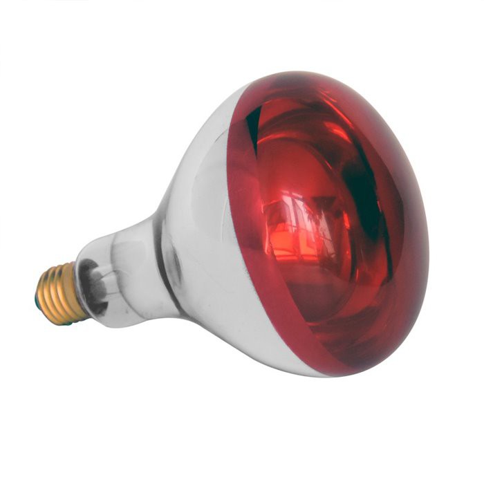 Farm Heat Lamp